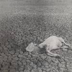 Vukari - Omnes Nihil