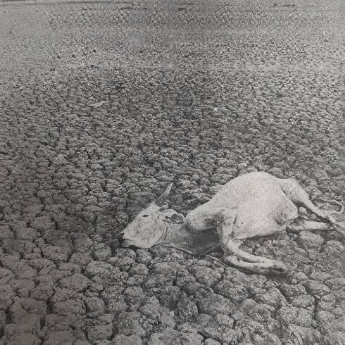 Label Roundup: Vendetta Records – Afsky, Vukari, and Ultha&nbsp;(Reviews)