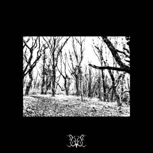 Doubtsower - The Endless Shadow of Despicable Power