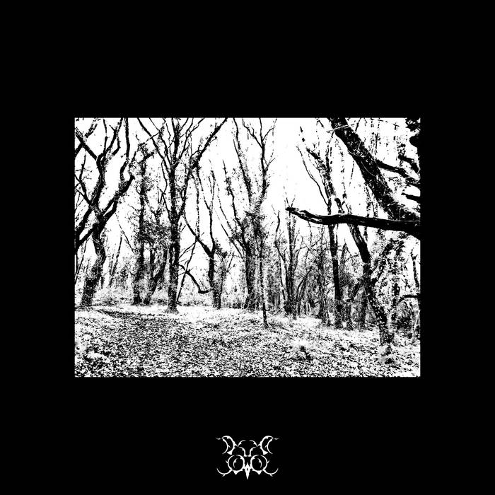 Doubtsower – The Endless Shadow of Despicable Power&nbsp;(Review)