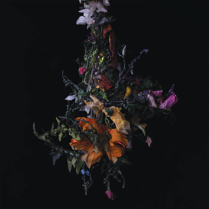 Big | Brave – Nature Morte&nbsp;(Review)