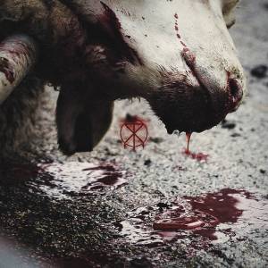 To the Grave - Directors Cuts