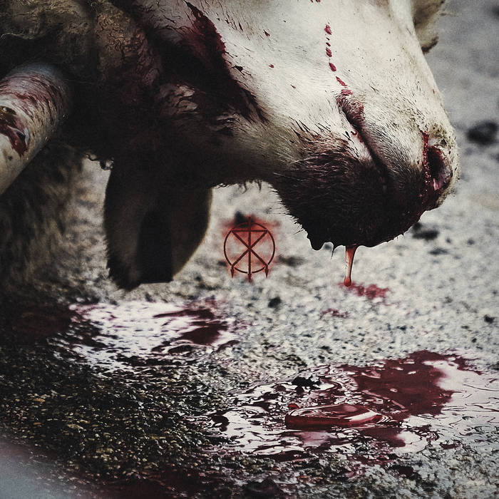 To the Grave – Director’s Cuts&nbsp;(Review)