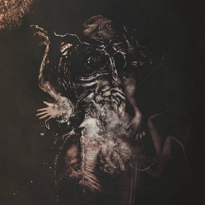 Hasard – Malivore&nbsp;(Review)