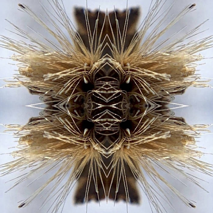 Yakuza – Sutra&nbsp;(Review)