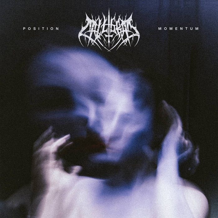 Calligram – Position | Momentum&nbsp;(Review)