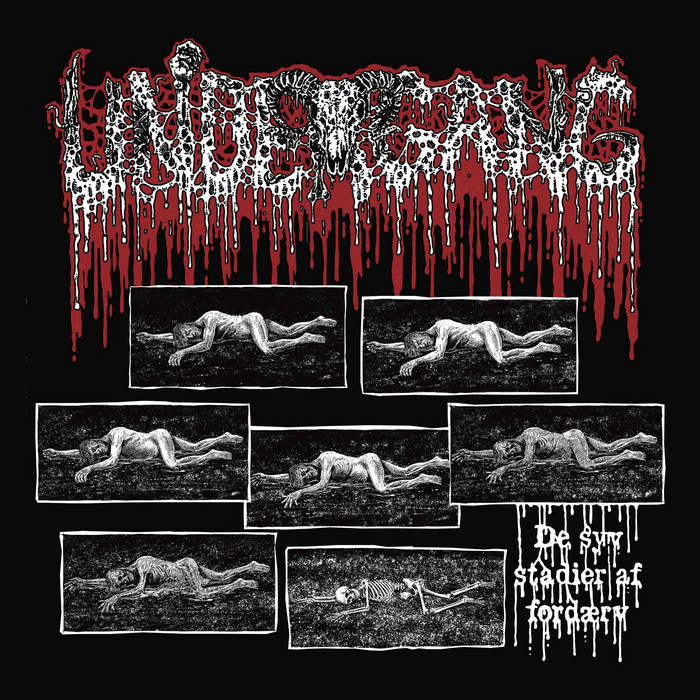Undergang – De Syv Stadier af Ford​æ​rv&nbsp;(Review)