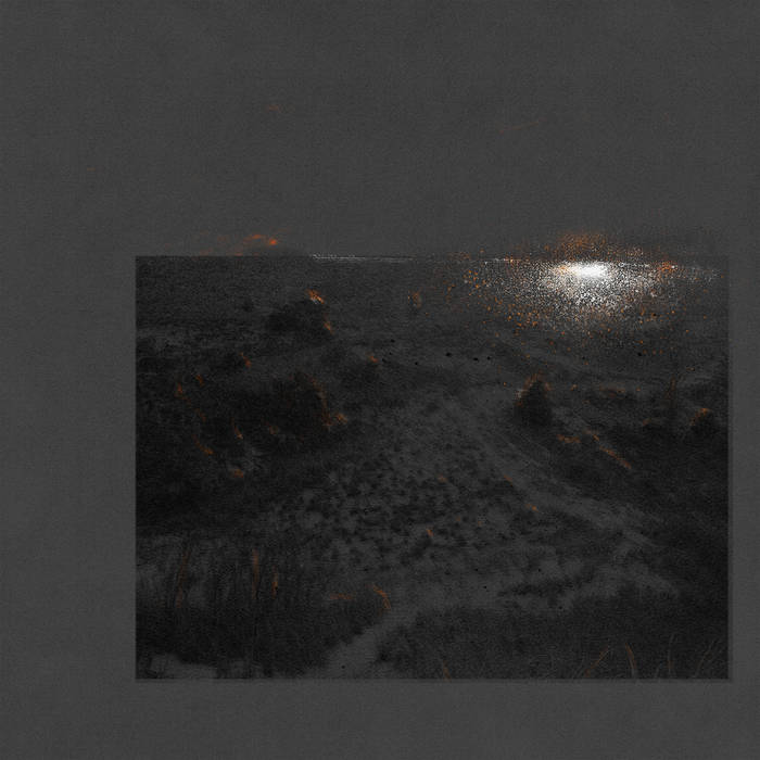 Flesh of the Stars – The Glass Garden&nbsp;(Review)