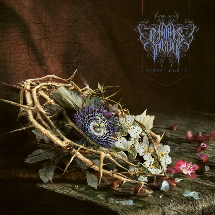 Pénitence Onirique – Nature Morte&nbsp;(Review)