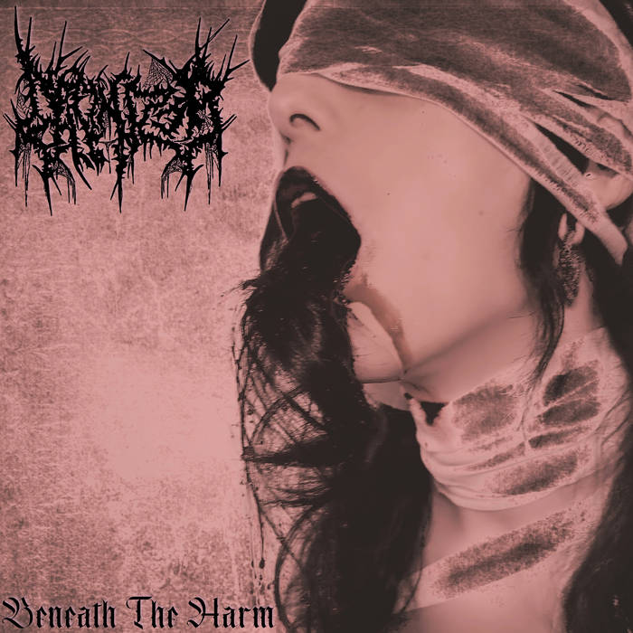 Feminizer – Beneath the Harm&nbsp;(Review)