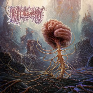Neurectomy - Overwrought