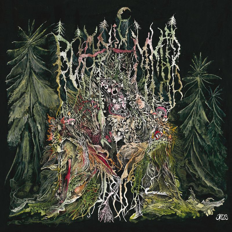 Boarhammer – II: Chemognosis – A Shortcut to Mushrooms&nbsp;(Review)