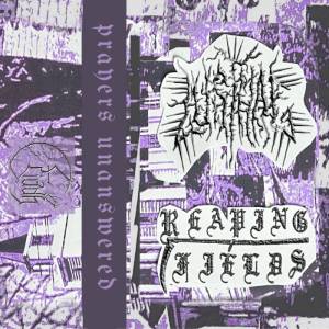 Lust Hag Reaping Fields - Prayers Unanswered - Split