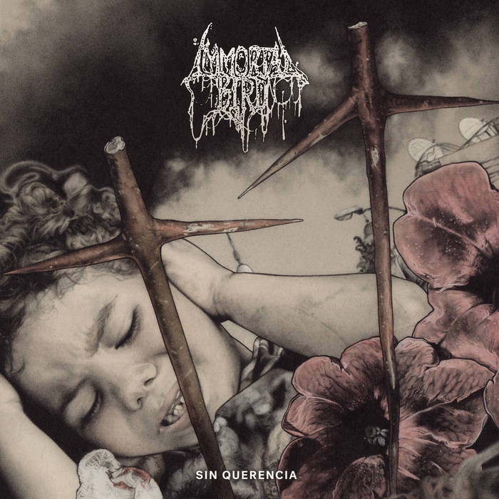 Immortal Bird – Sin Querencia&nbsp;(Review)