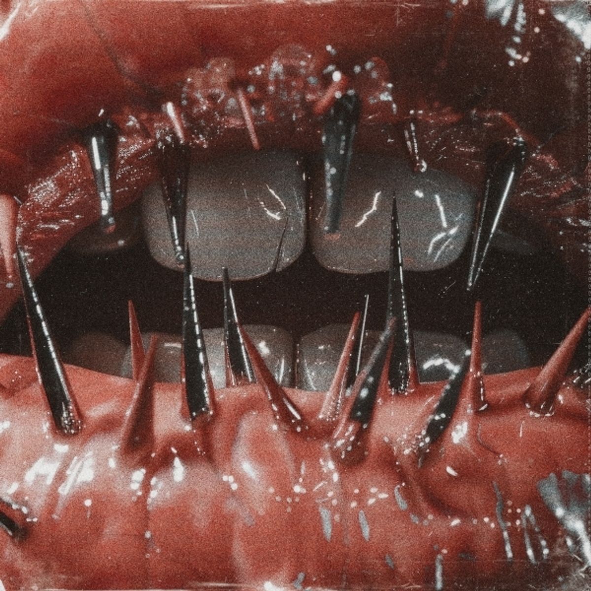 Saltwound – The Temptation of Pain&nbsp;(Review)