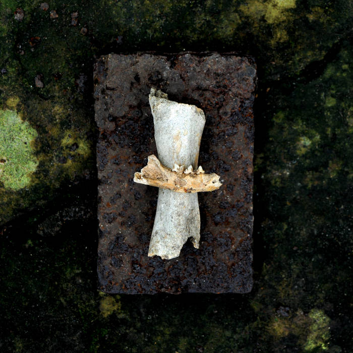 Nomadic Rituals – Fust&nbsp;(Review)