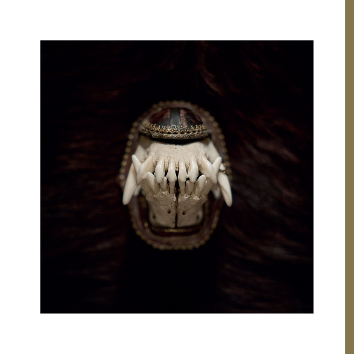 Amenra – De Toorn/With Fang and Claw&nbsp;(Review)