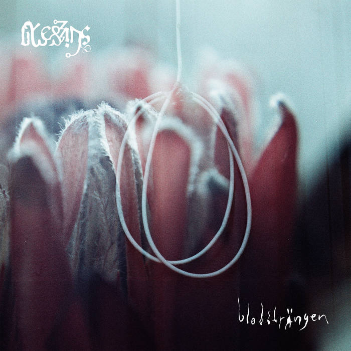 Blessings – Blodsträngen&nbsp;(Review)