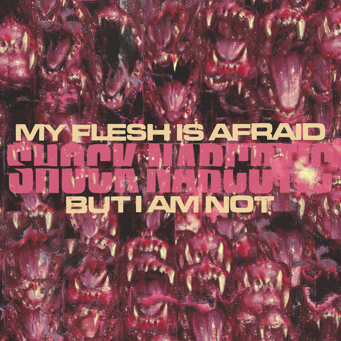 Shock Narcotic – My Flesh Is Afraid but I Am Not&nbsp;(Review)
