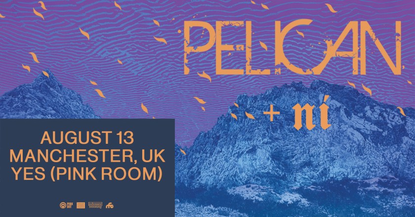 Pelican Ni Yes Manchester Header