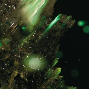 Abraham - Idsungwüssä