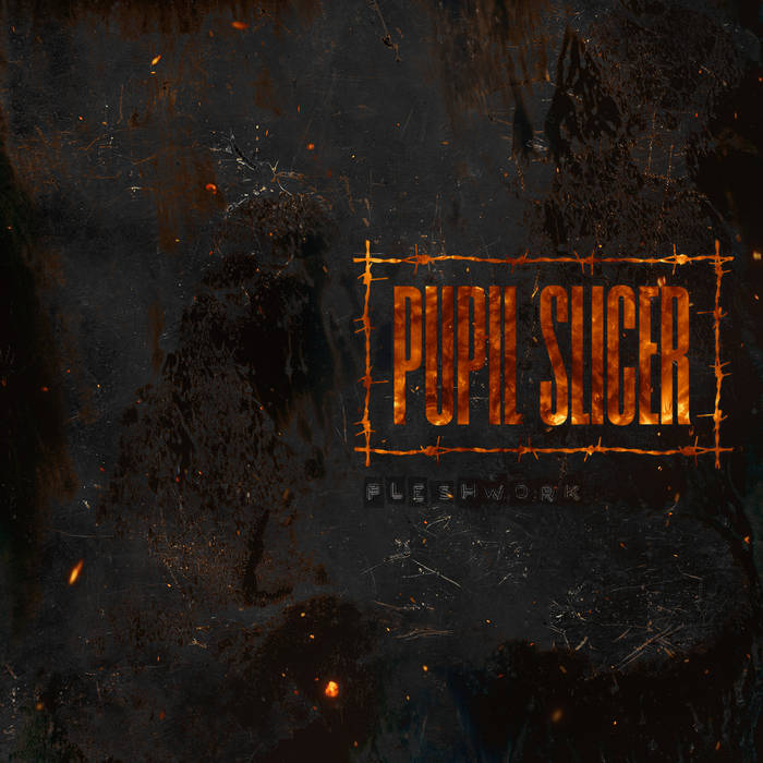 Pupil Slicer – Fleshwork&nbsp;(Review)