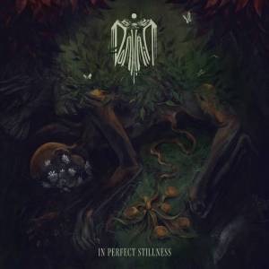 Domhain - In Perfect Stillness