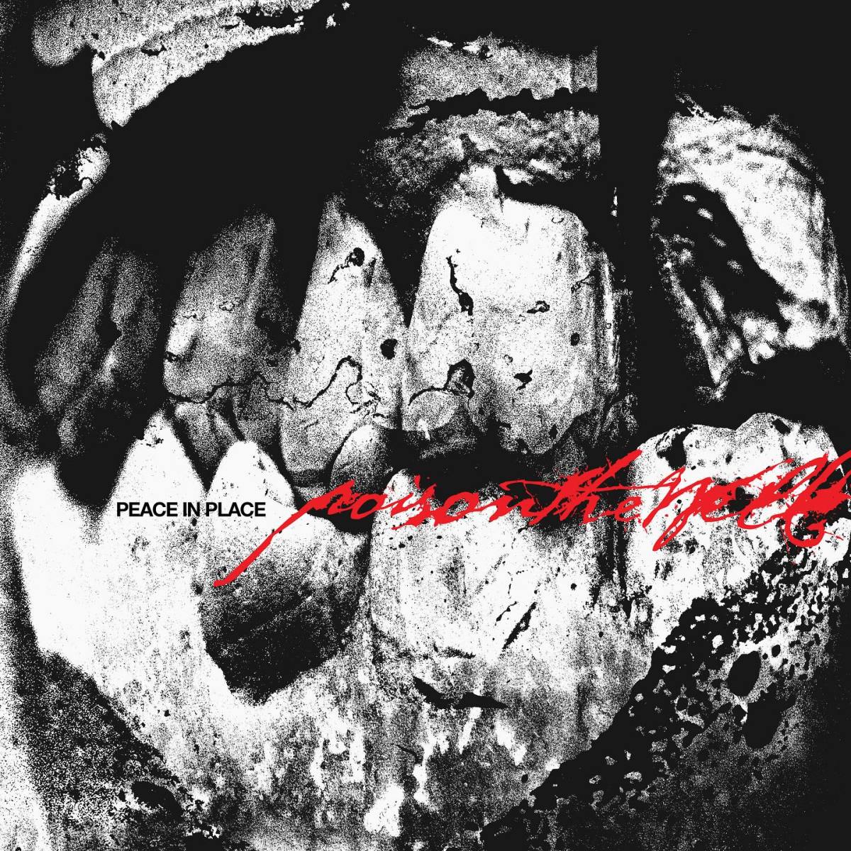 Poison the Well – Peace in Place&nbsp;(Review)