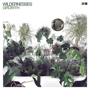 Wildernesses - Growth
