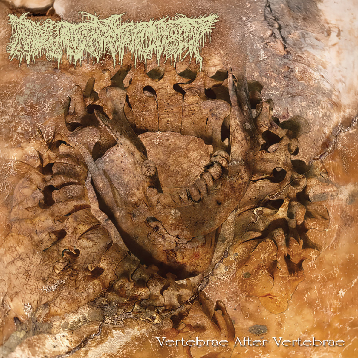 Pharmacist – Vertebrae after Vertebrae&nbsp;(Review)