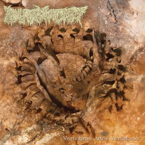 Pharmacist - Vertebrae after Vertebrae