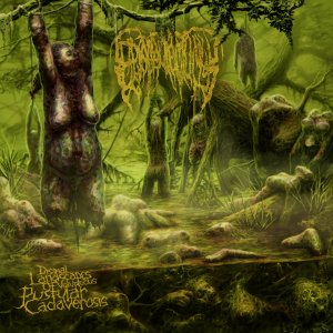 Epicardiectomy - Dismal Landscapes of Voluptuous Pustular Cadaverosis